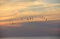 /album/sunrises-by-stacy-witfill/stacy-witfill-17-jpg1/